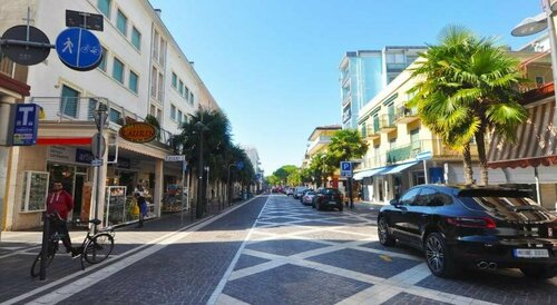 Внешний вид отеля Hotel Gardenia в Езоле, фото 4