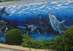 Sea Turtle House