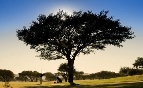 Гостиница Windhoek Country Club Resort в Виндхуке