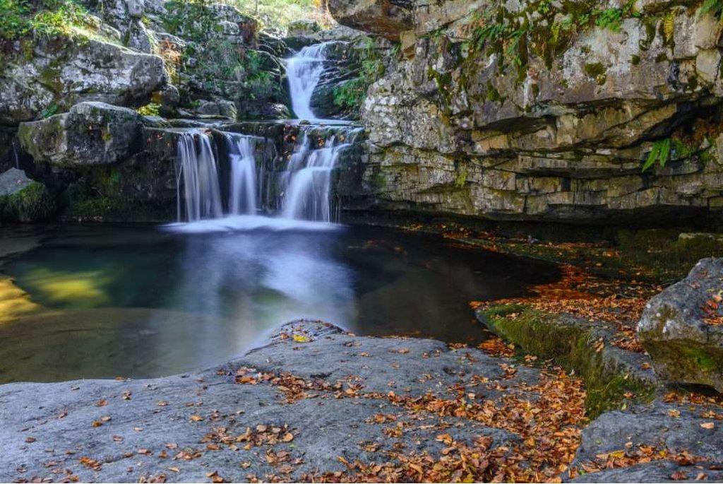 Фото Hotel Logroño Parque