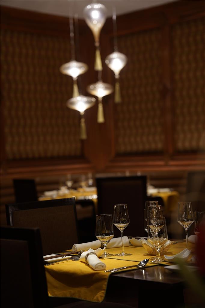 Фото Radisson Blu Plaza Hotel, Delhi Airport