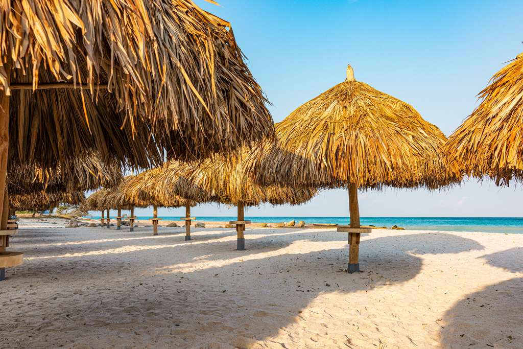 Фото Embassy Suites by Hilton Aruba Resort
