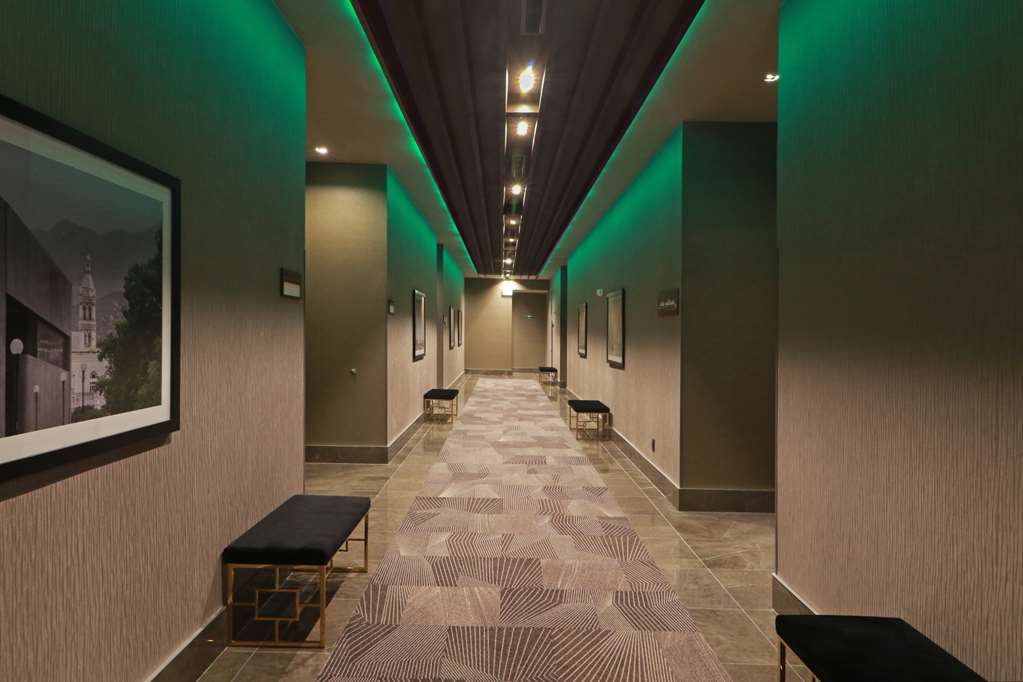 Фото Hilton Garden Inn Monterrey Obispado