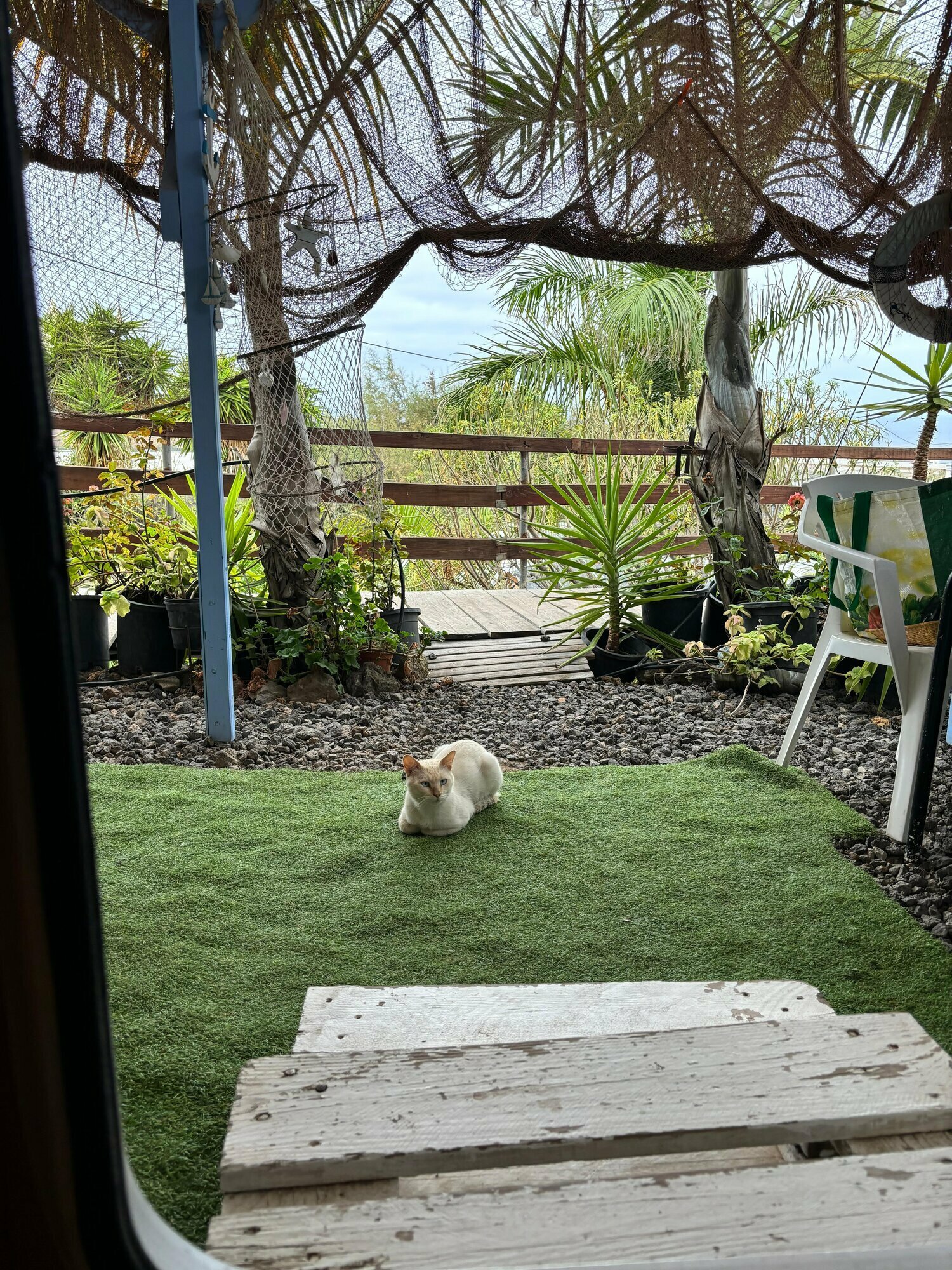 Фото Agro Camping Invernaderito