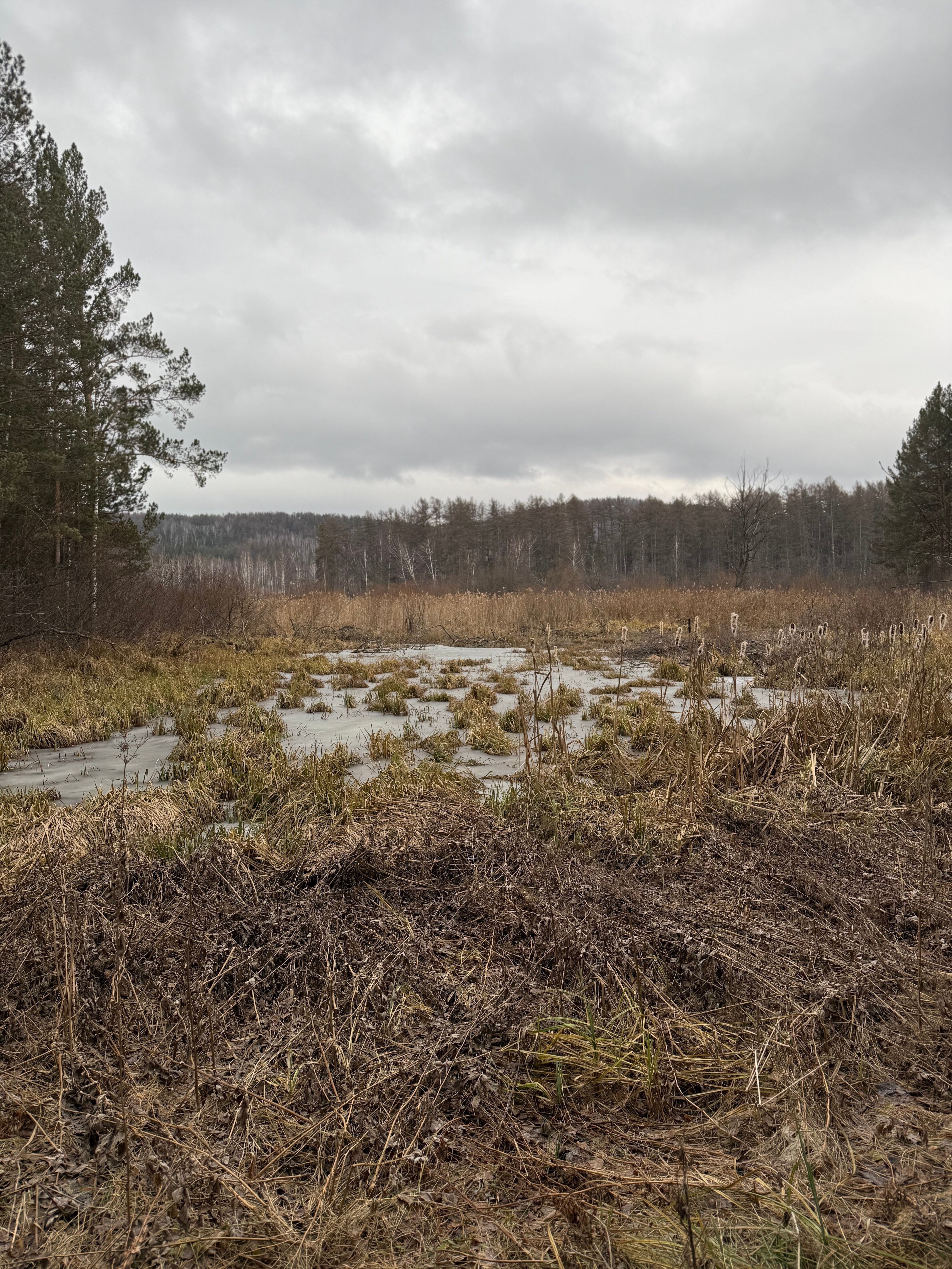 Фото Olivka Home