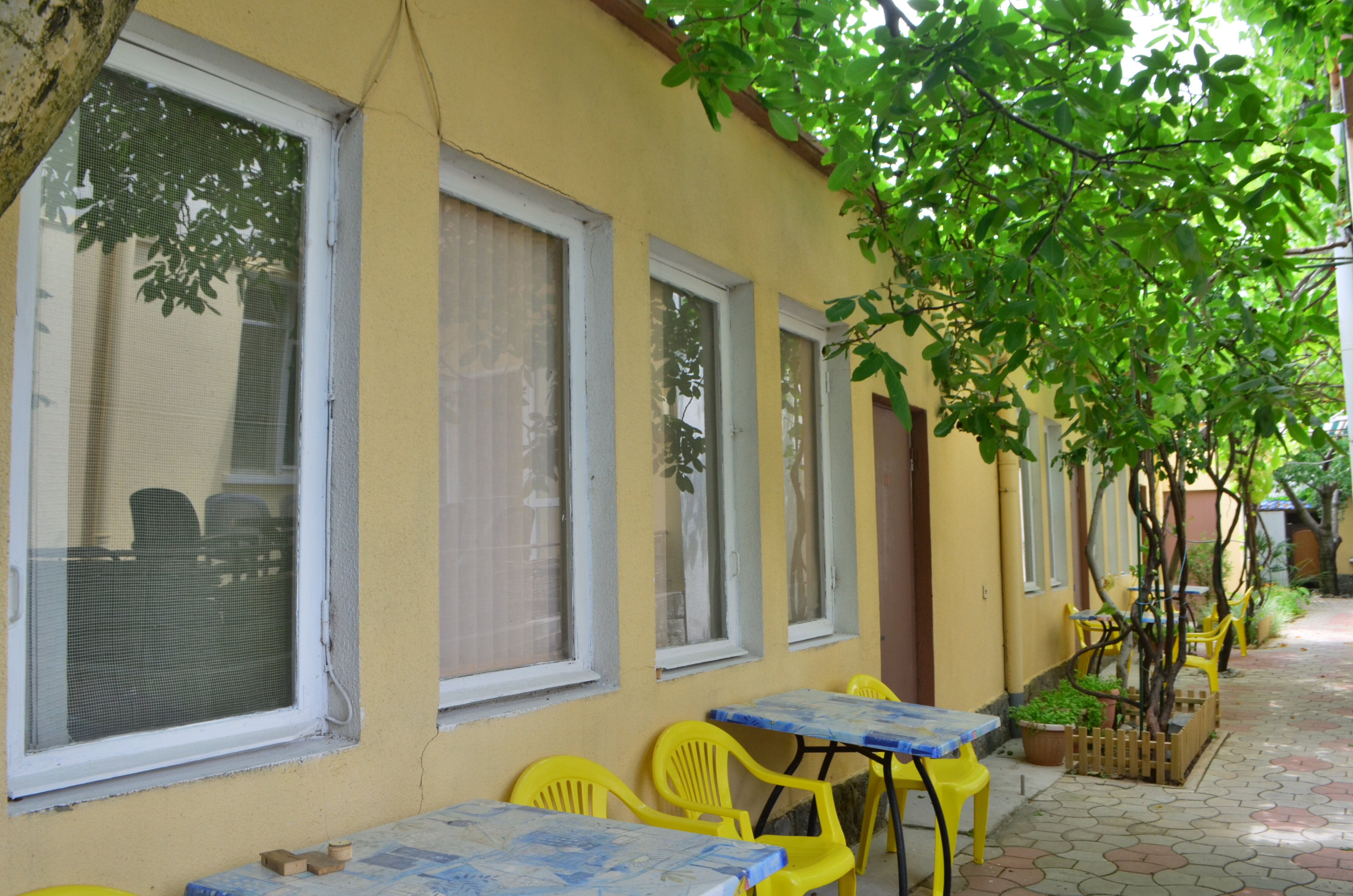 Фото Летний