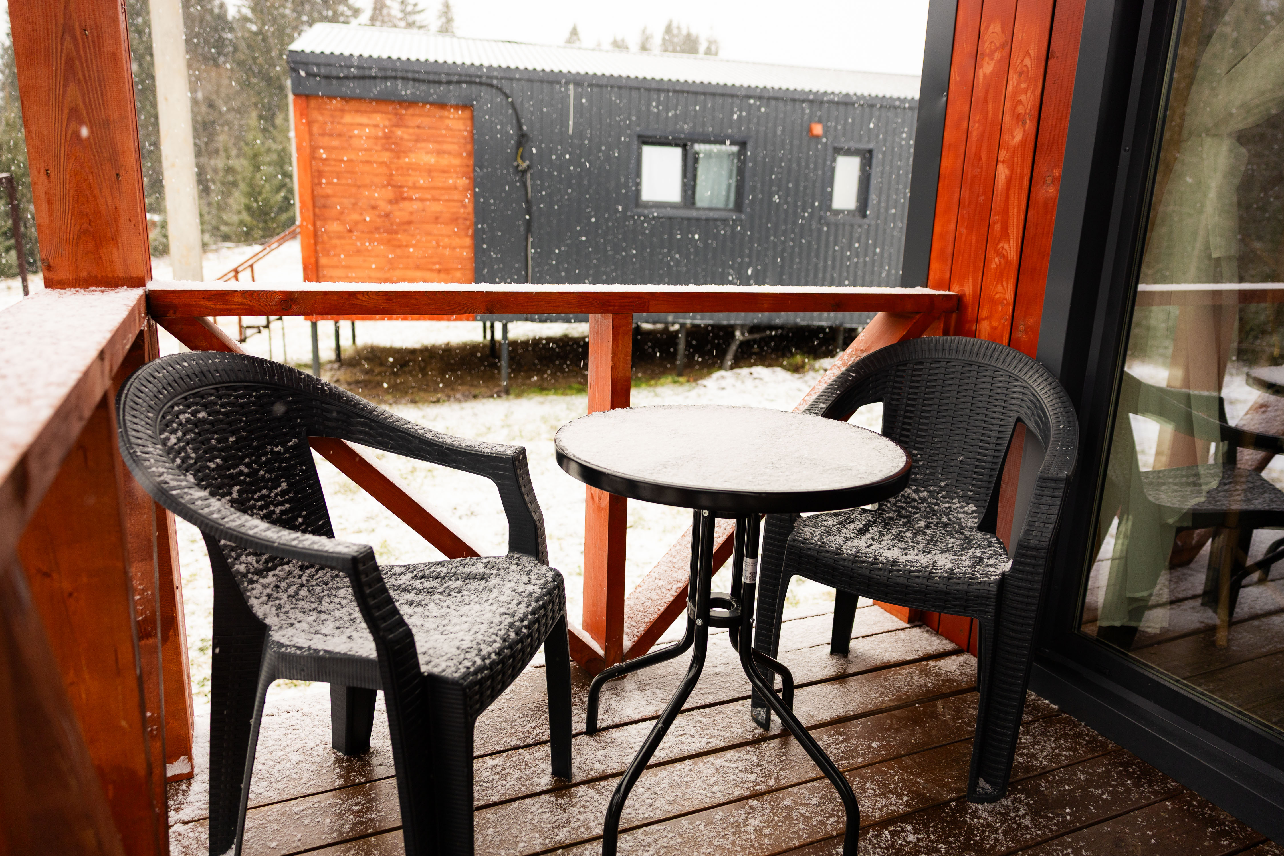 Фото Липовый цвет