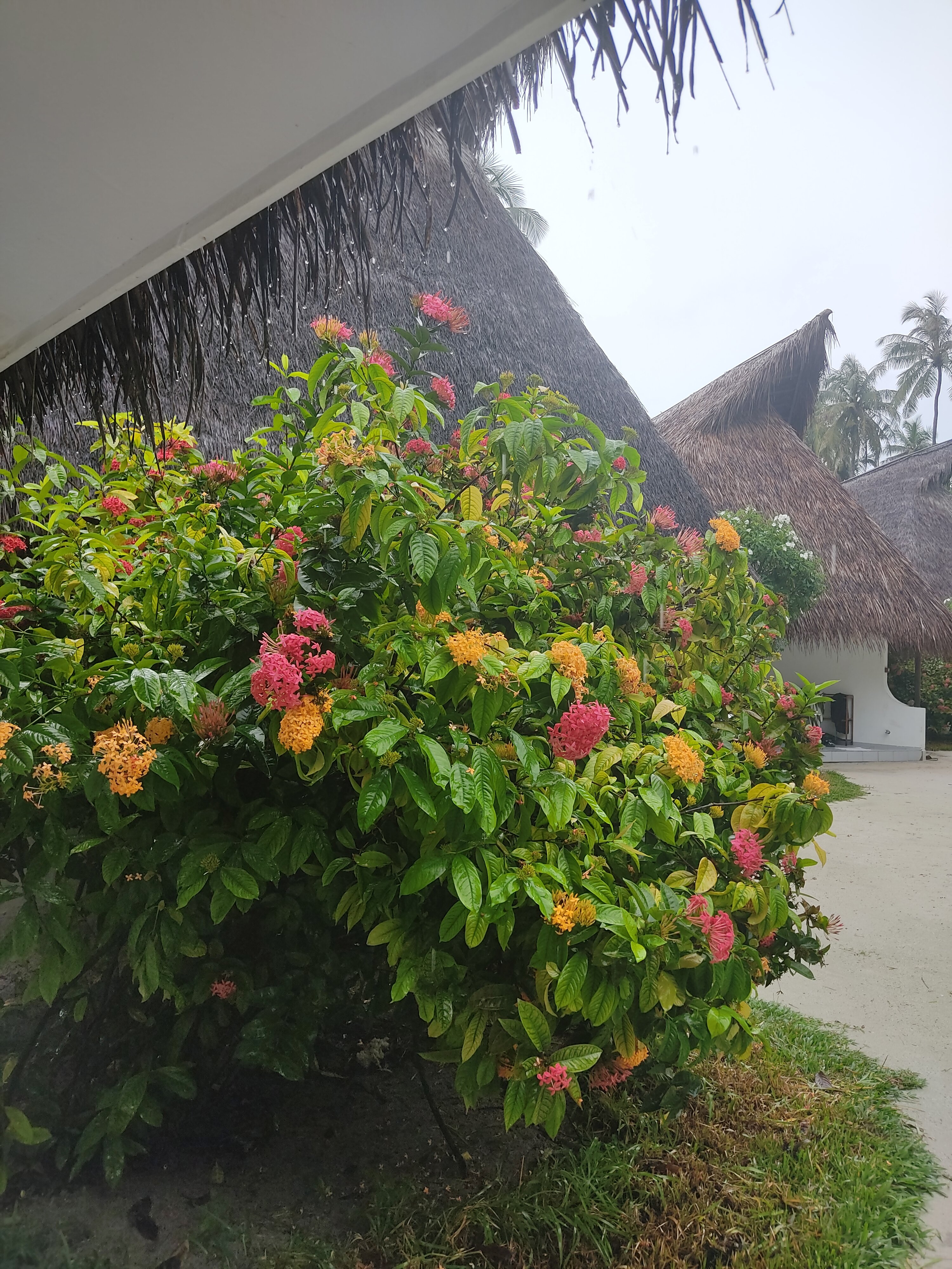 Фото Fihalhohi Maldives