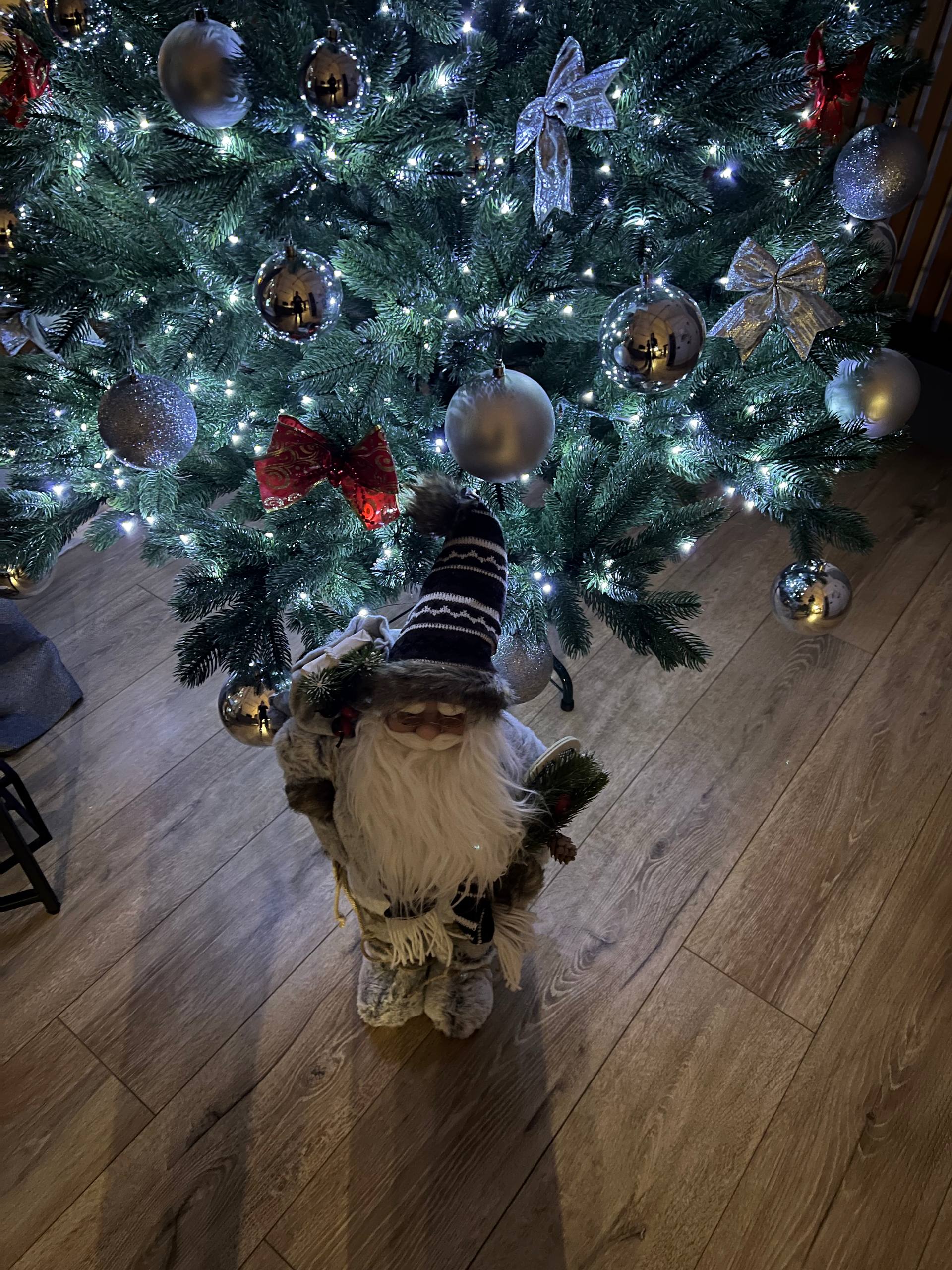 Фото У Березы