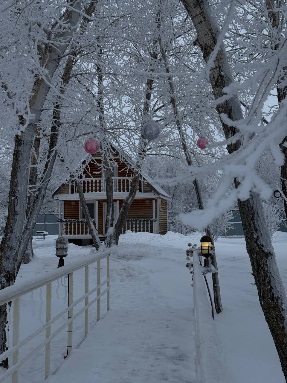 Фото Лаванда