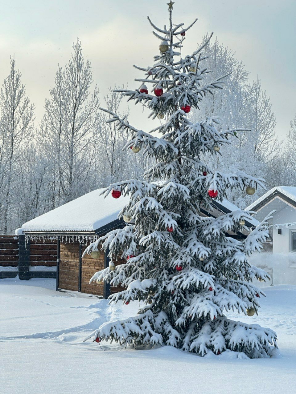 Фото Gusakov House