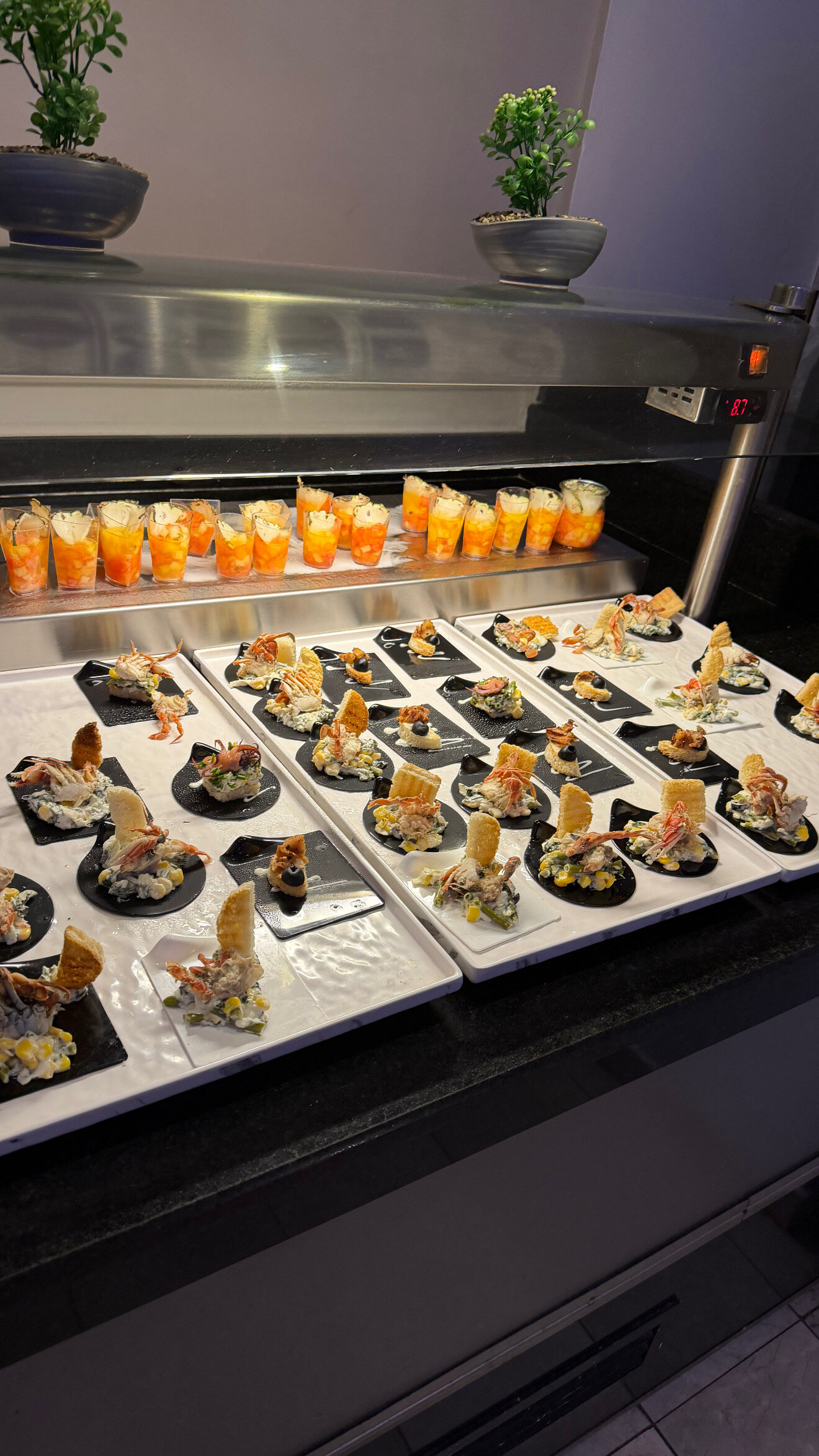 Фото Melia Internacional