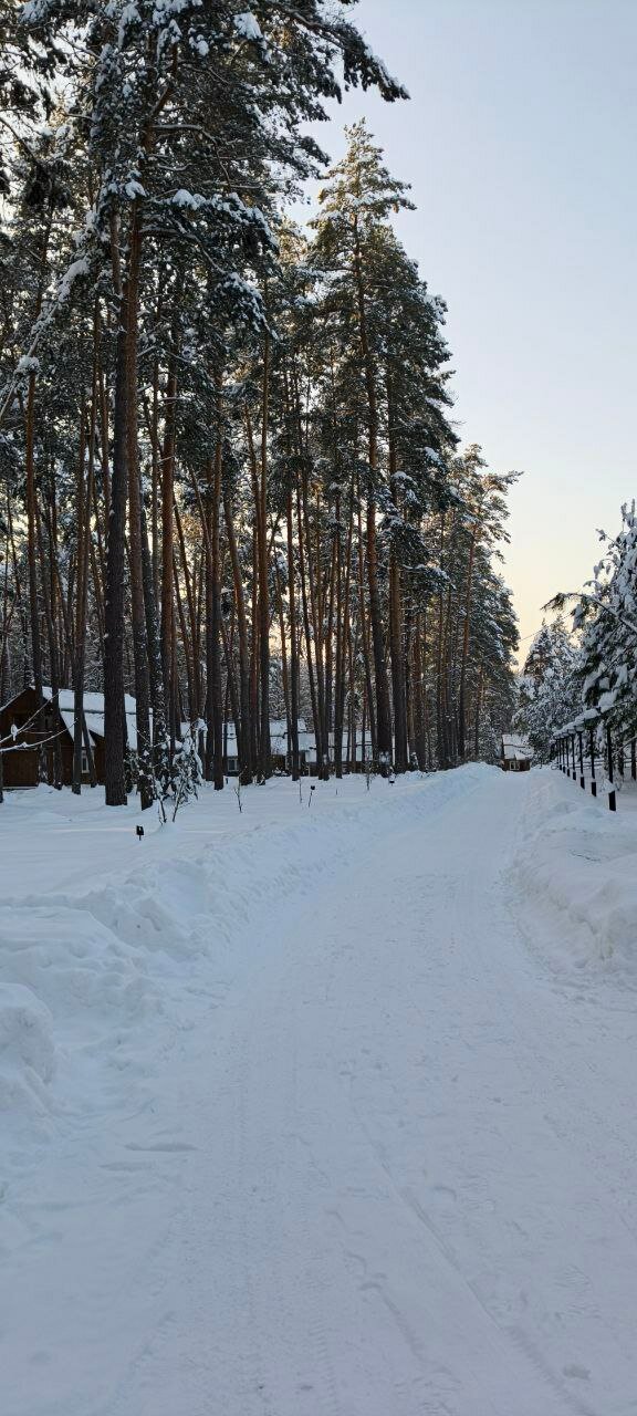 Фото Премьера