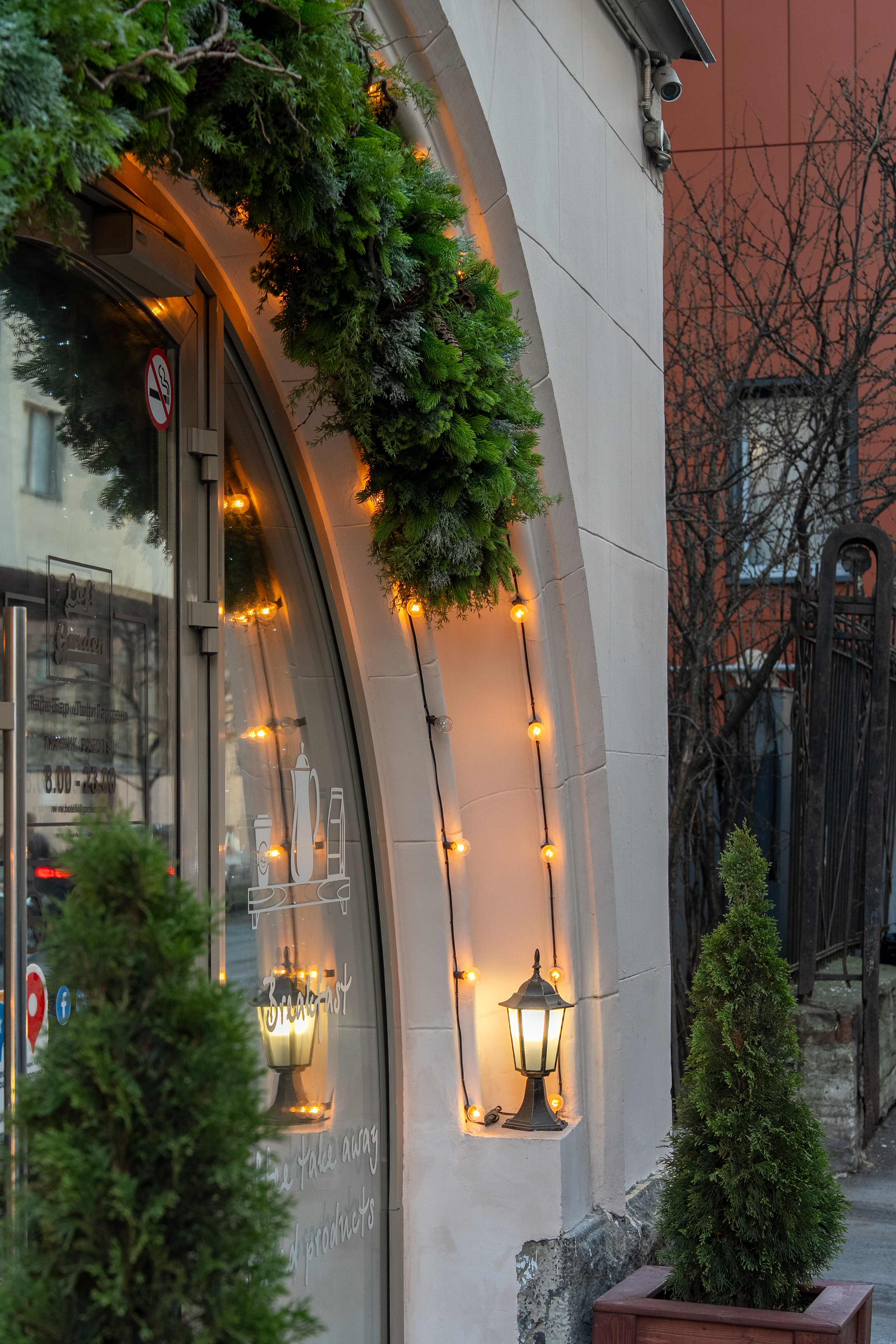 Фото Loft Garden