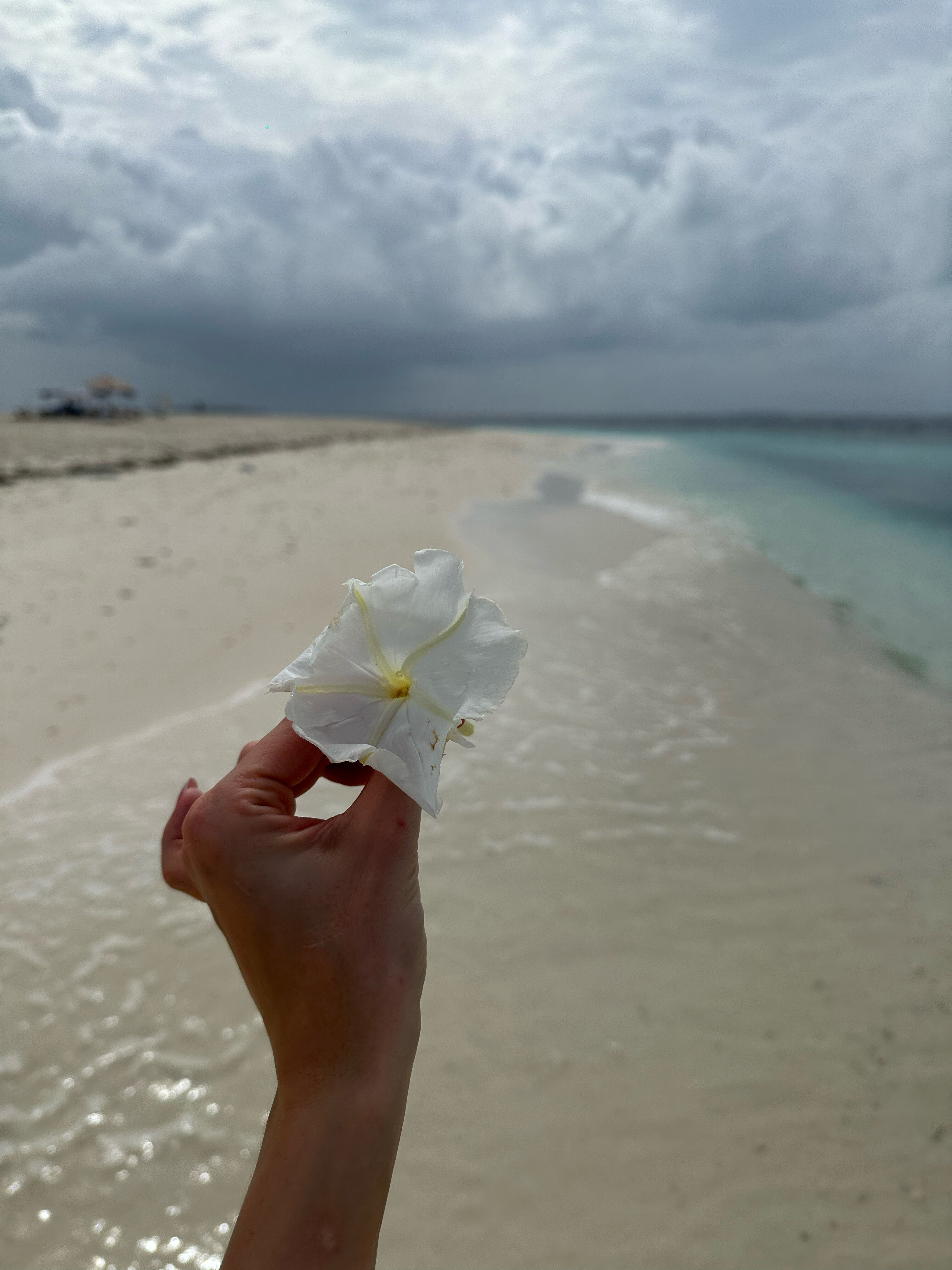 Фото Clarks Exotica Kamadhoo Maldives