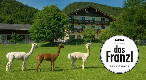 Гостиница B&b - Das Franzl в Верхней Австрии