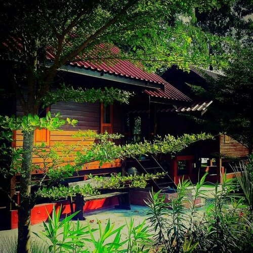 Thai House