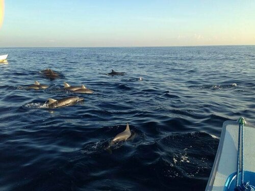 Внешний вид отеля Pandawa Village в Калясеме, фото 5