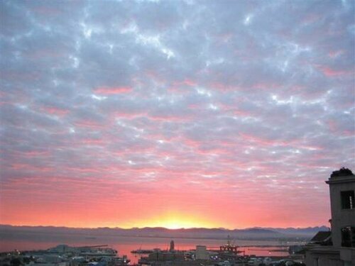 Внешний вид отеля Bluegum Hill Guesthouse & Apartments в Кейптауне, фото 5