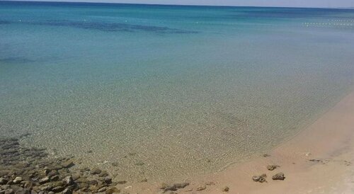 Гостиница Hotel Bel Azur Thalasso & Bungalows в Тунисе