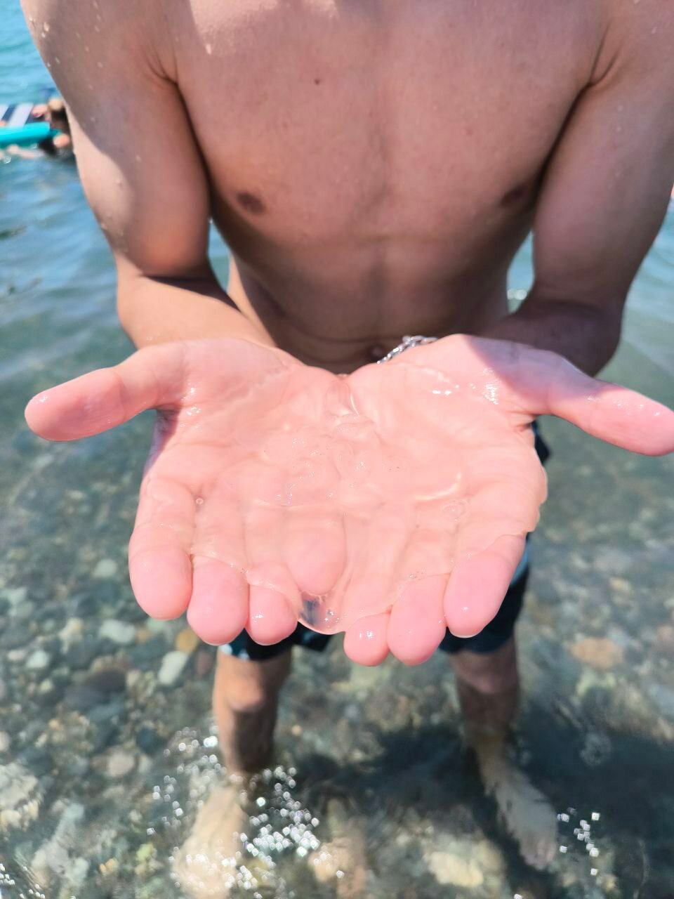 Фото 160789207254