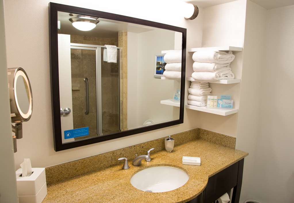 Фото Hampton Inn & Suites Albany-Downtown