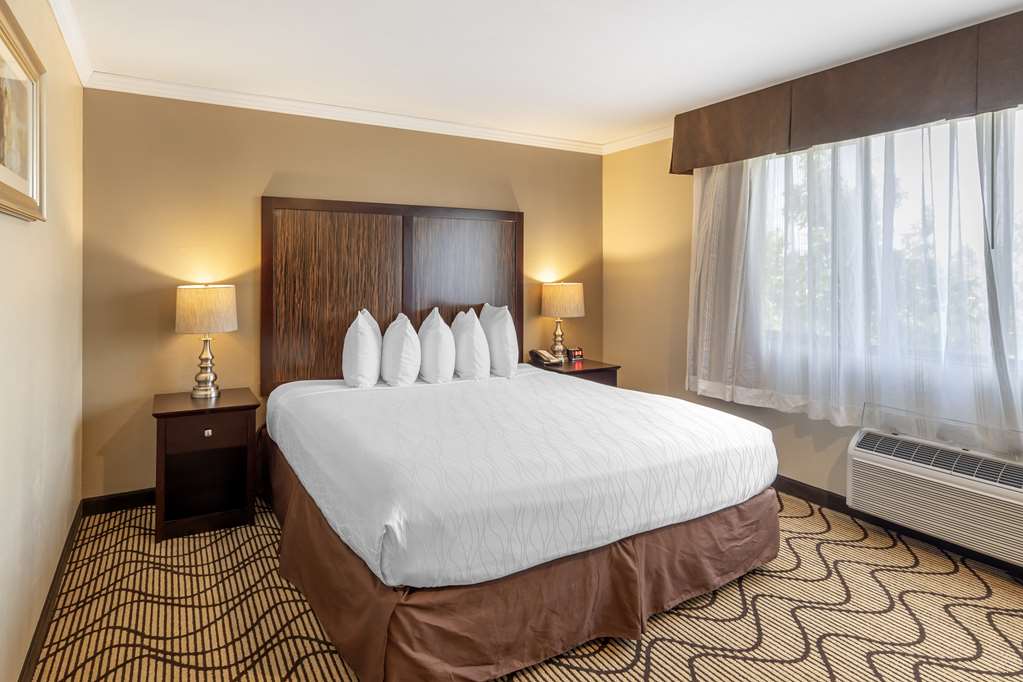 Фото Best Western Plus Orchid Hotel & Suites