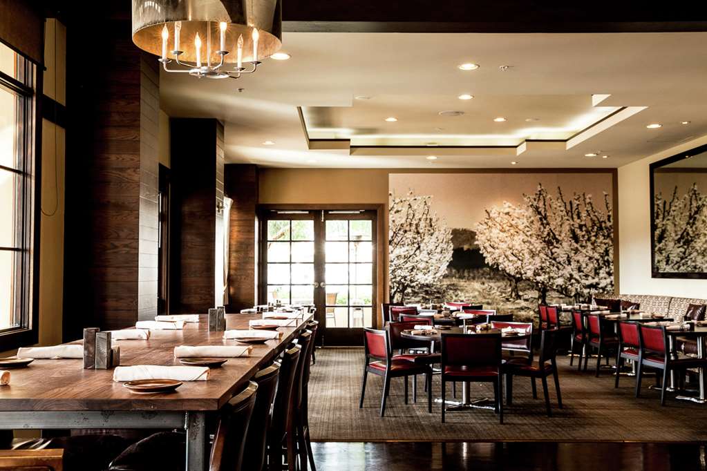 Фото Juniper Cupertino, Curio Collection by Hilton