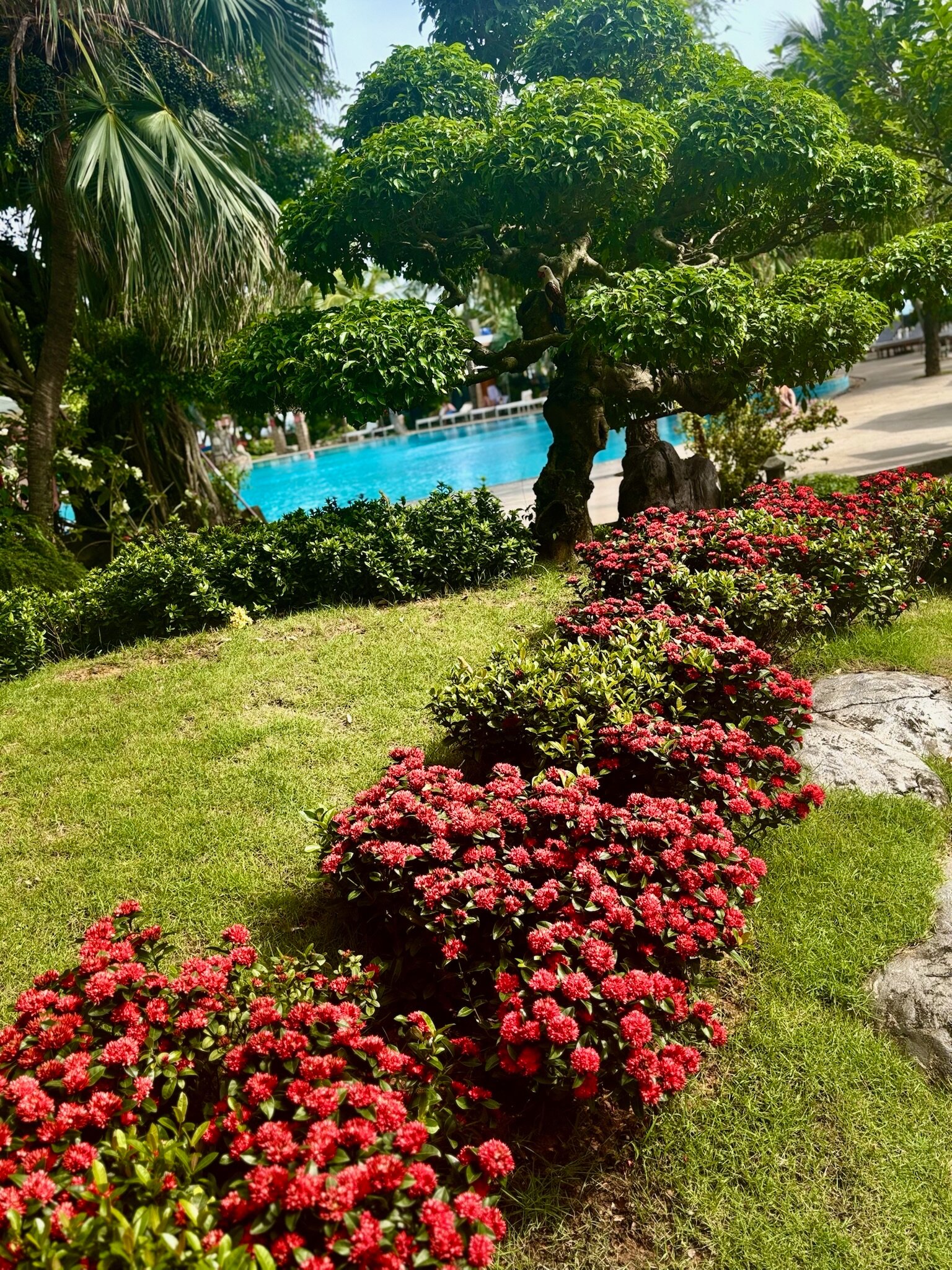 Фото Hoang Ngoc Beach Resort