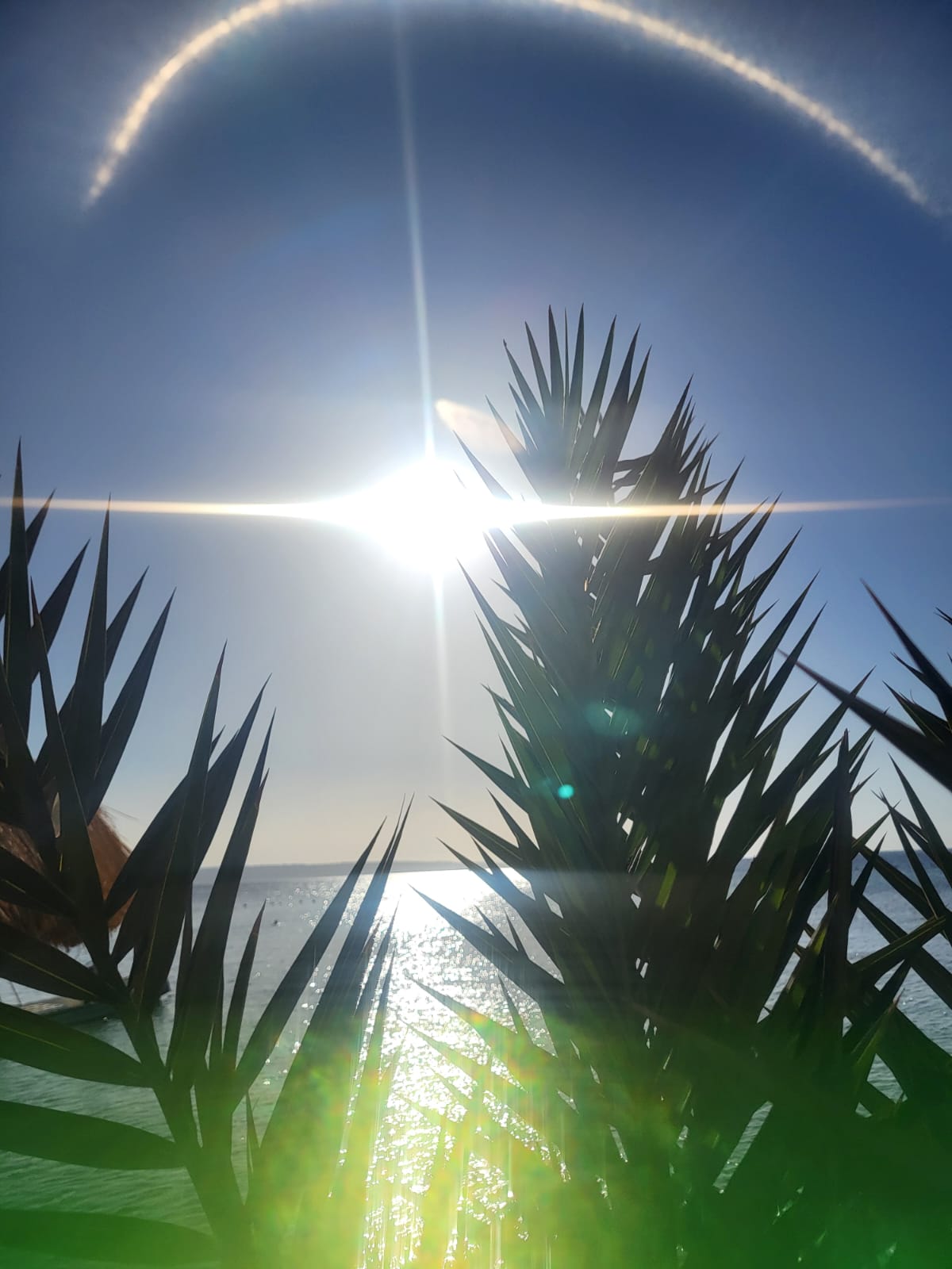 Фото Eagles Downtown Zahabia & Beach Resort