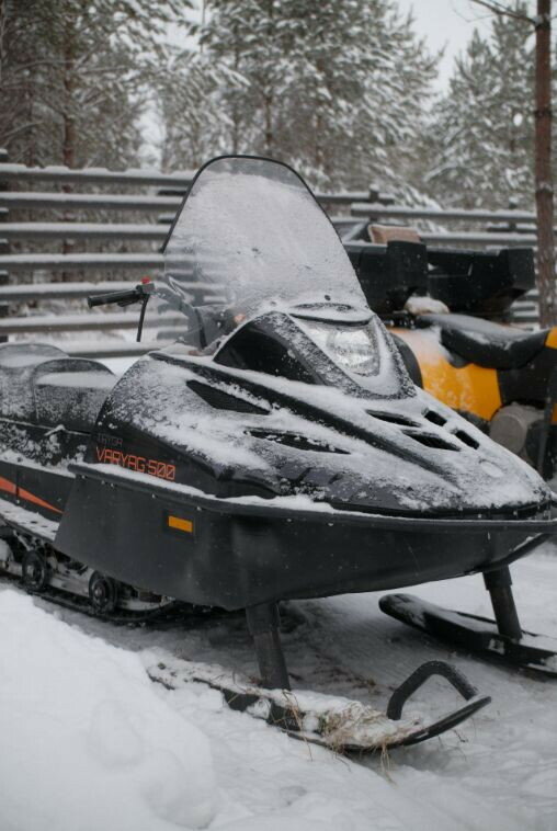 Фото Место под соснами