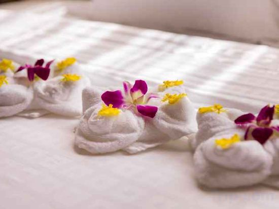 Фото Terracotta Resort & SPA