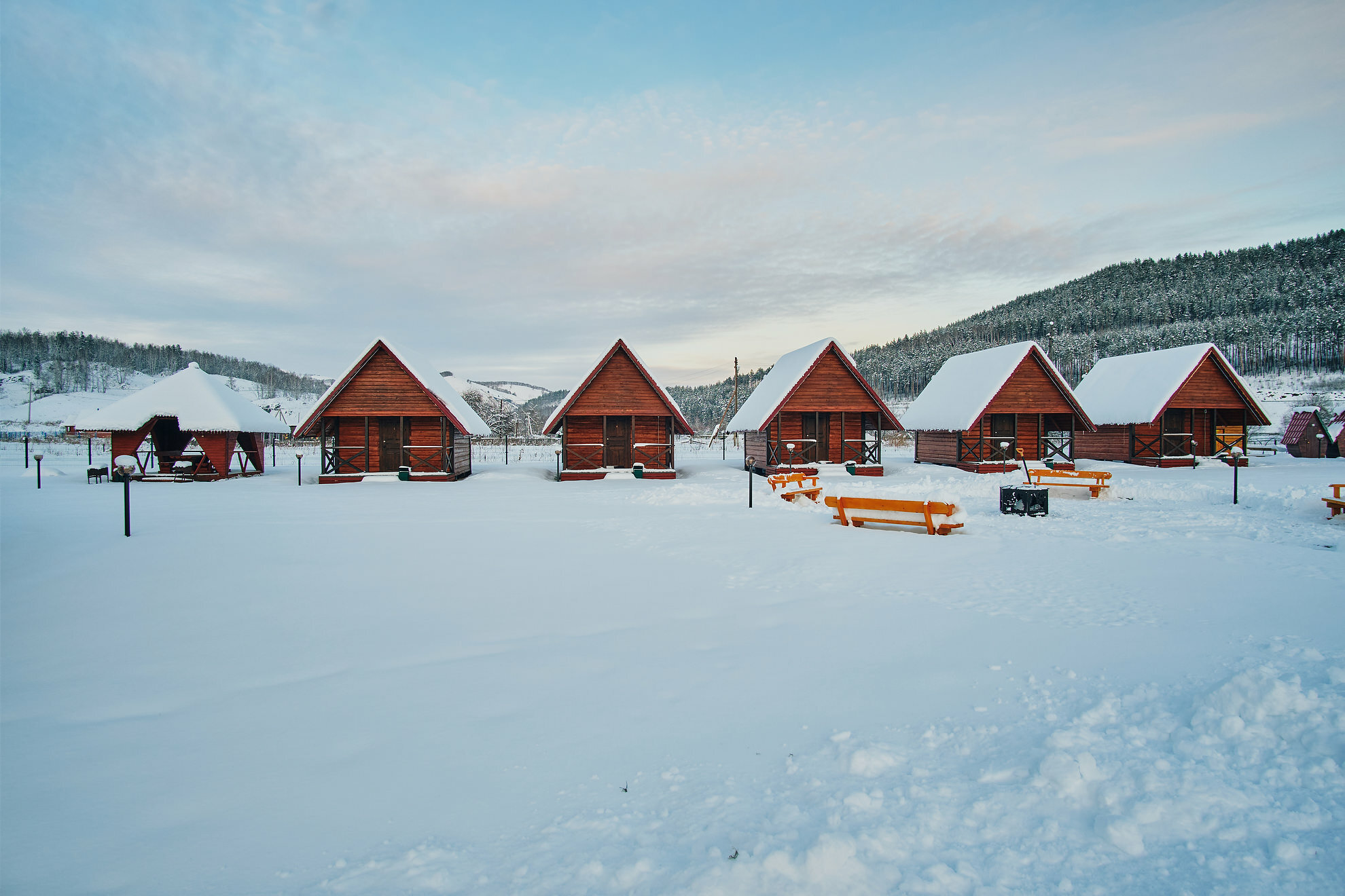Фото Кедровый берег