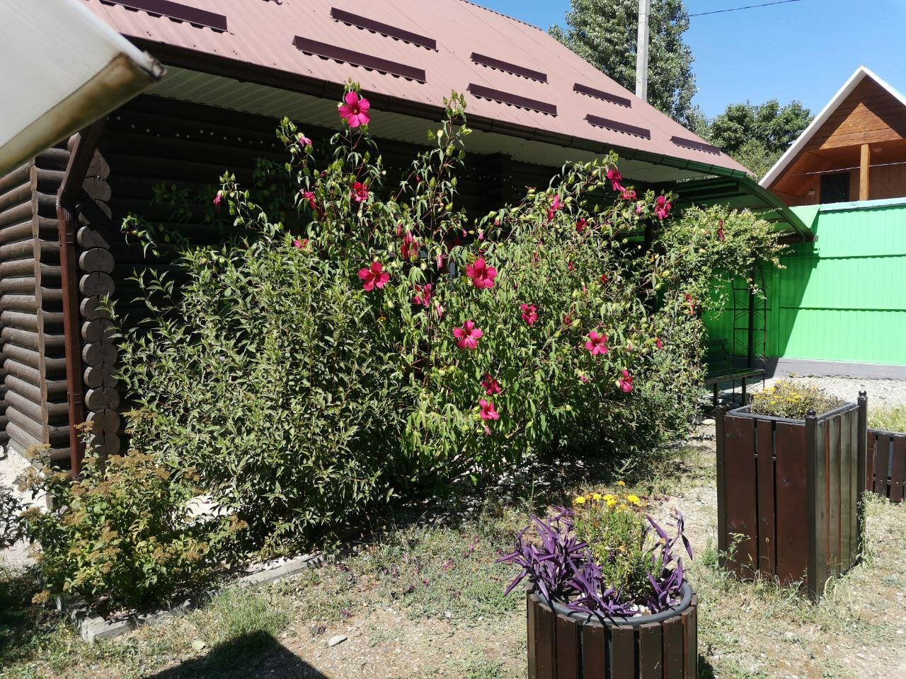 Фото Домовенок