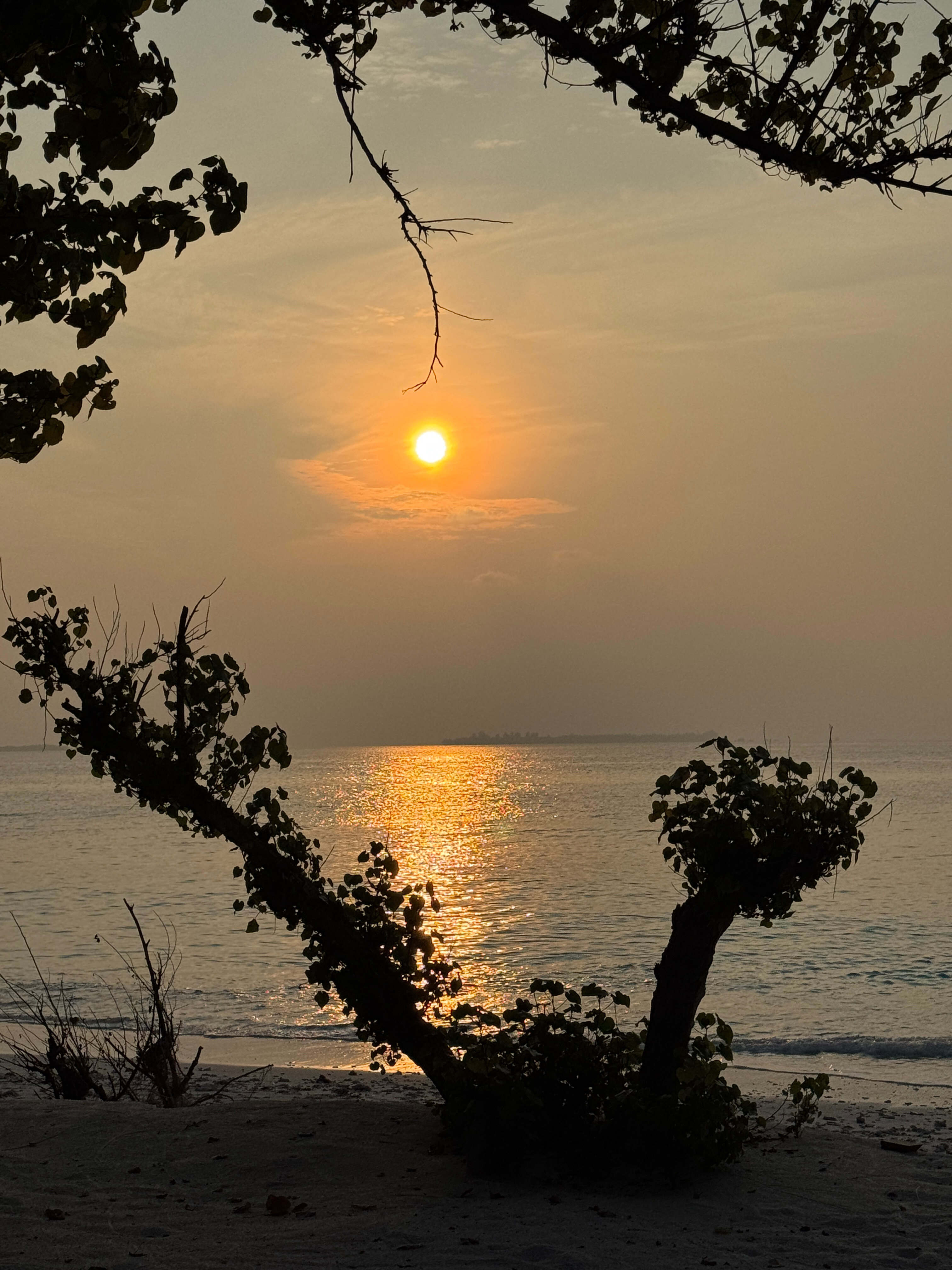 Фото Kuredu Resort and SPA