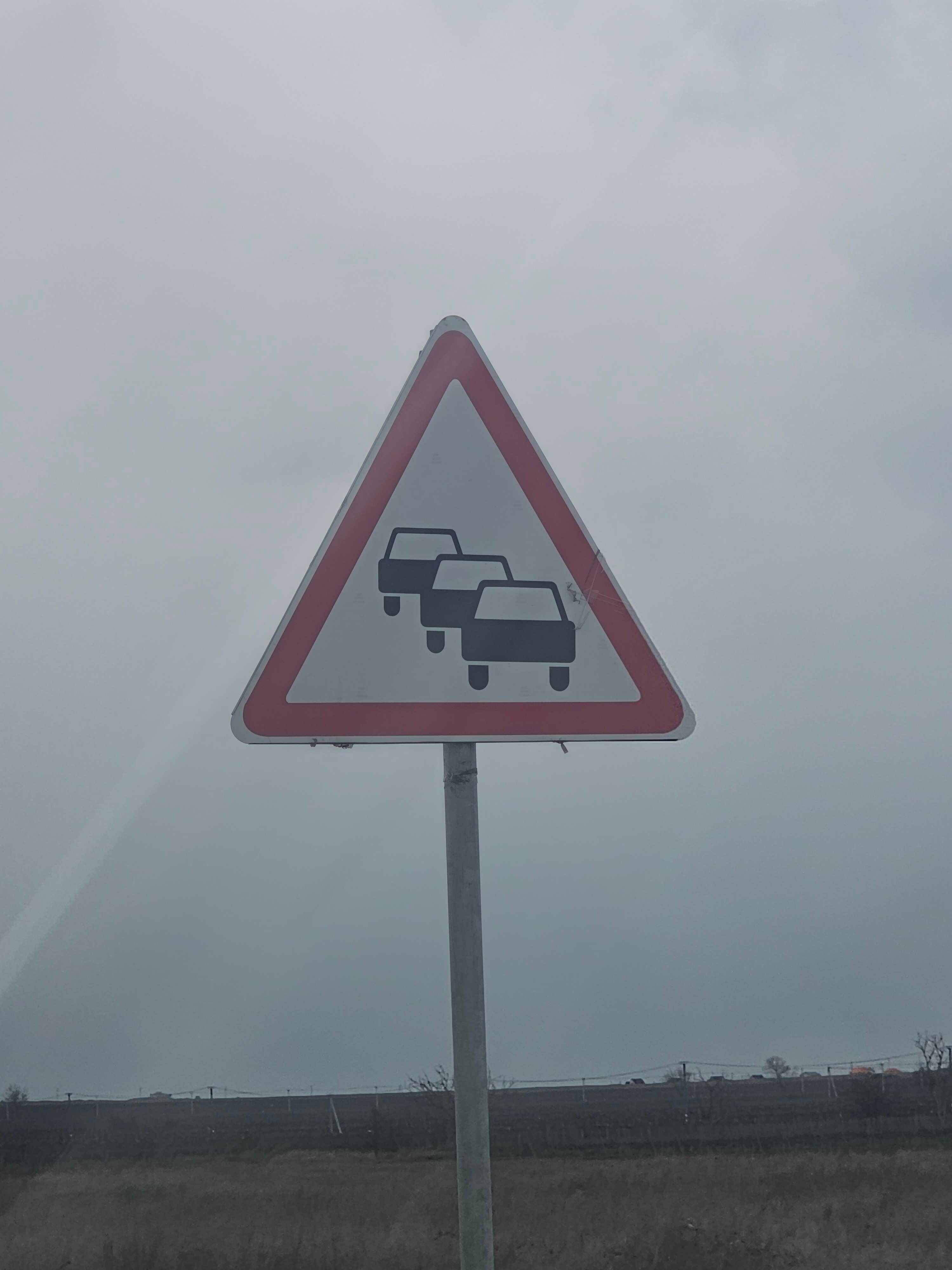 Фото Лесной