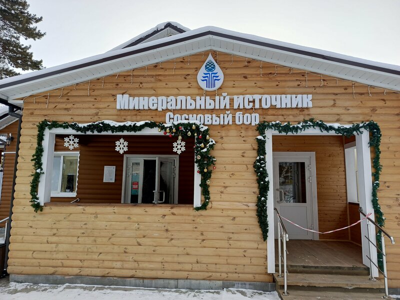 Сосновый бор — фото 10