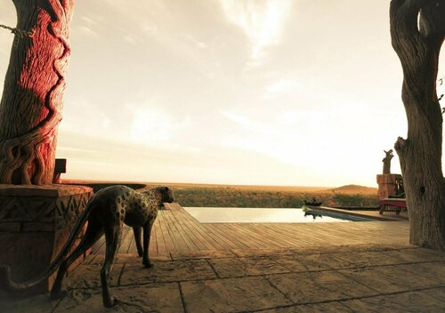 Внешний вид отеля Phumelelo Lodge в Бела-Беле Муниципалитете, фото 5