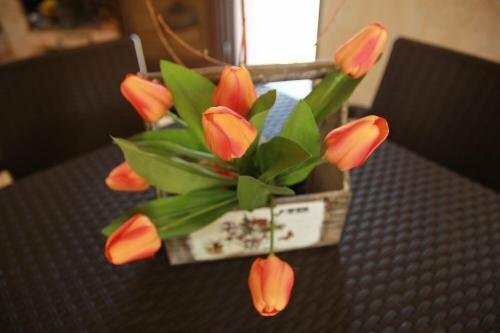 Гостиница Guest House Elene в Цхинвале