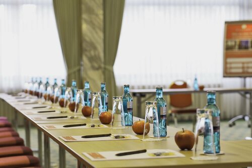 Гостиница Soaltee Hotel by Trip Inn Frankfurt Messe в Гессене