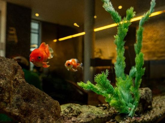 Фото Wellton Centrum Hotel & SPA