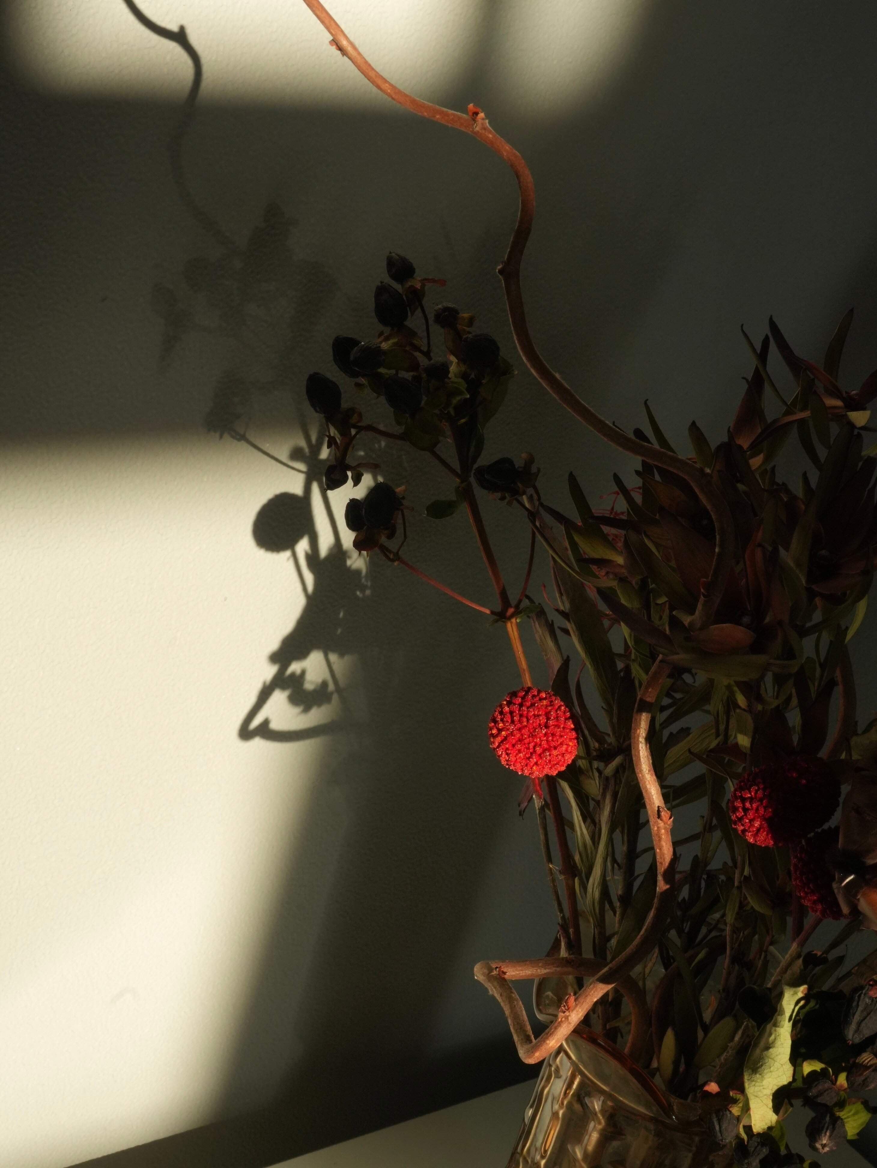 Фото Эридан