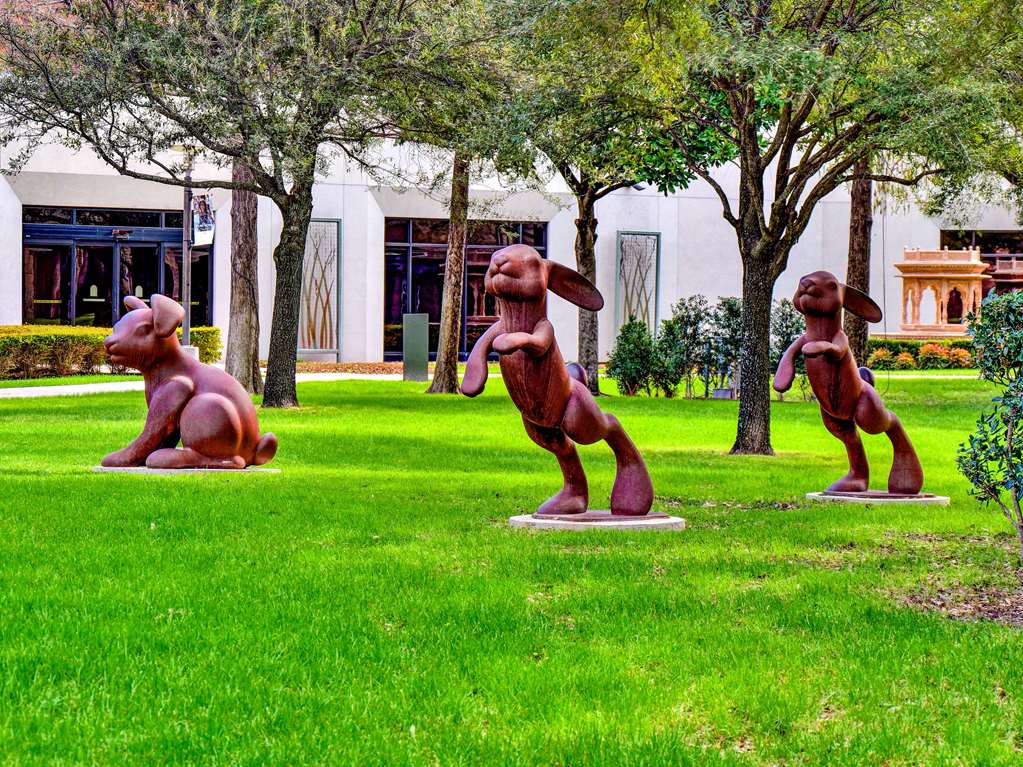 Фото Hilton Anatole