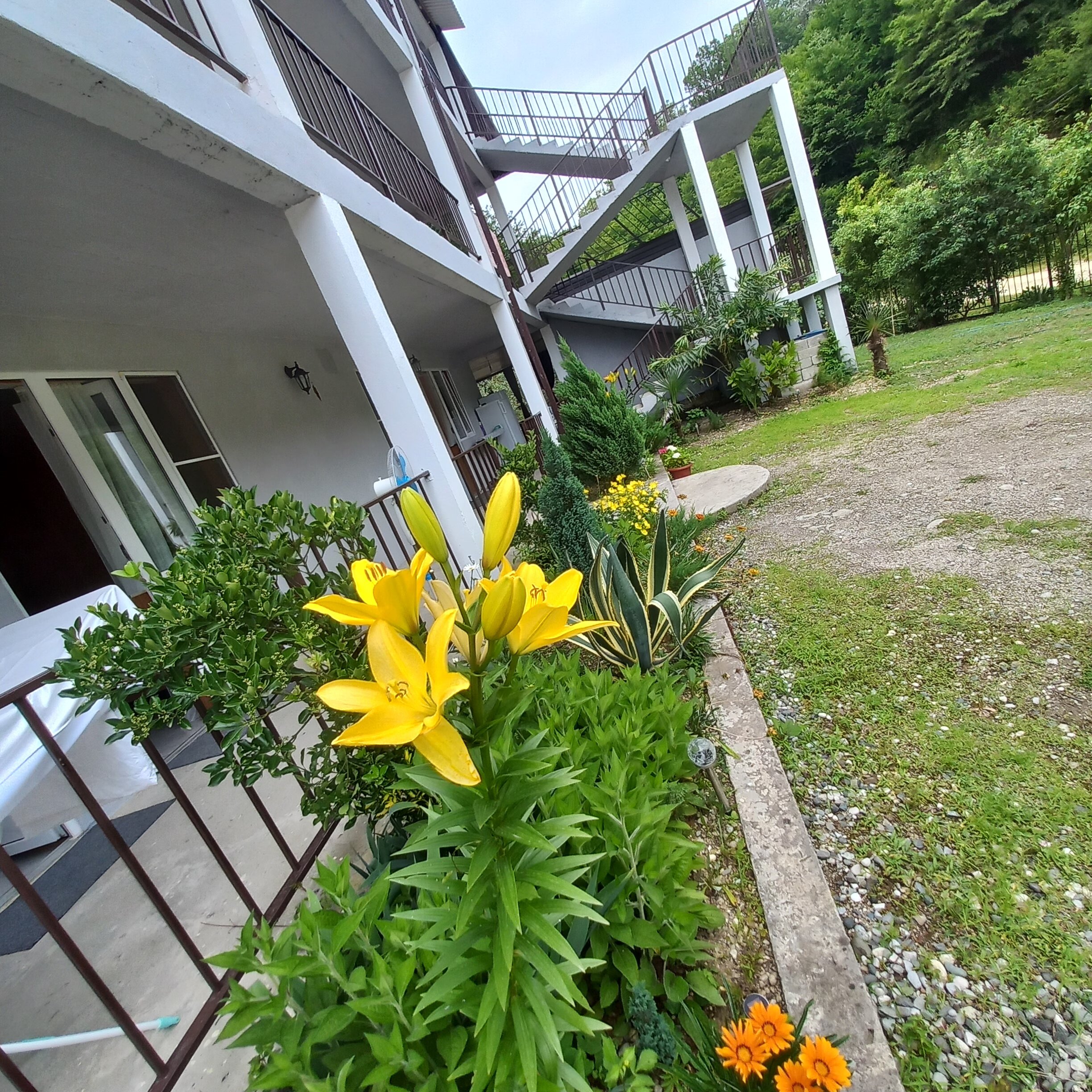 Фото отеля 4