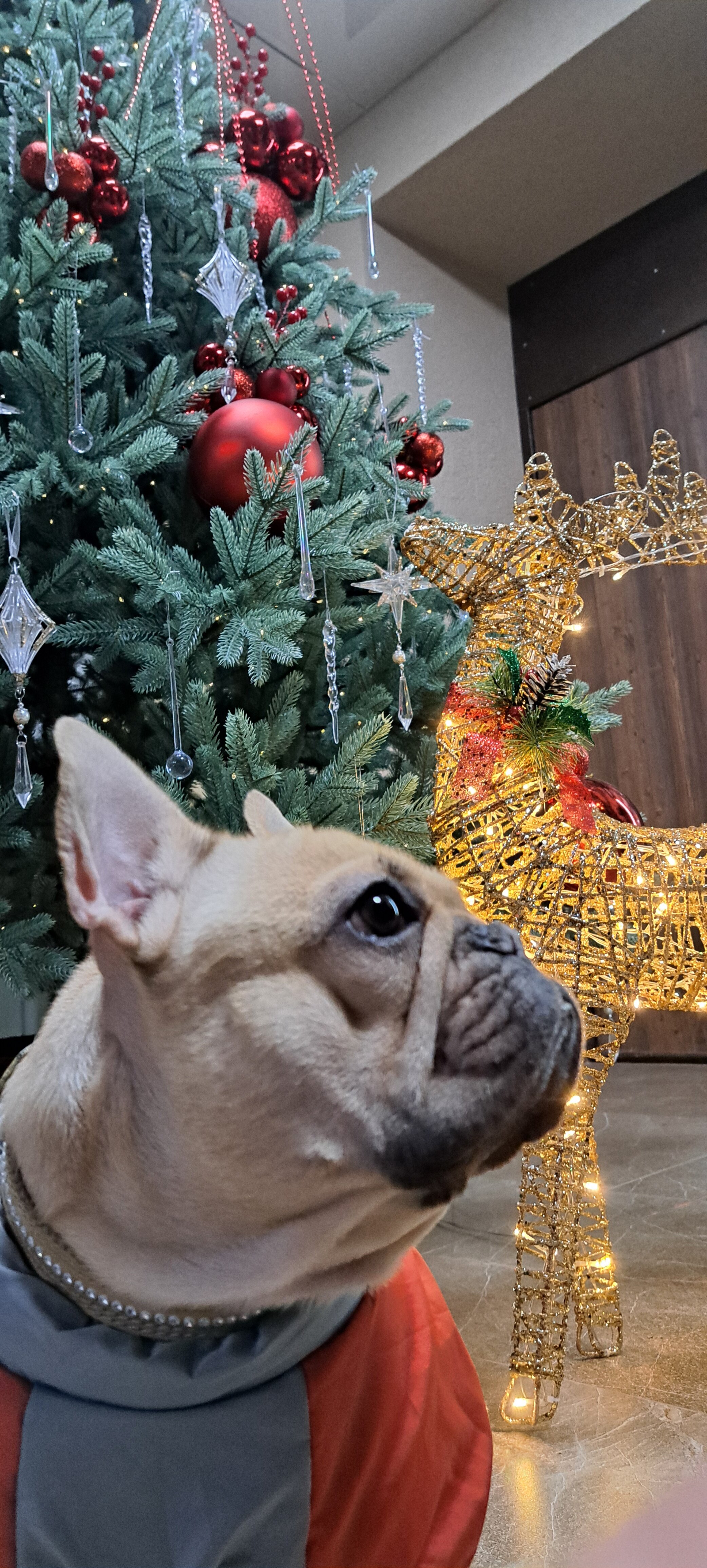 Фото Престиж