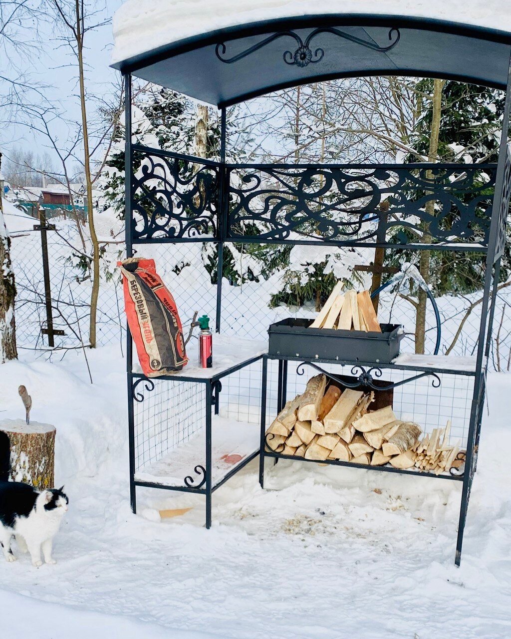 Фото В гостях у Знахаря