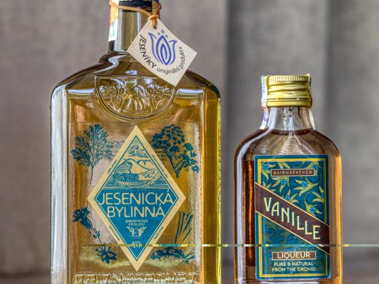 Фото Wellness & SPA hotel Villa Regenhart