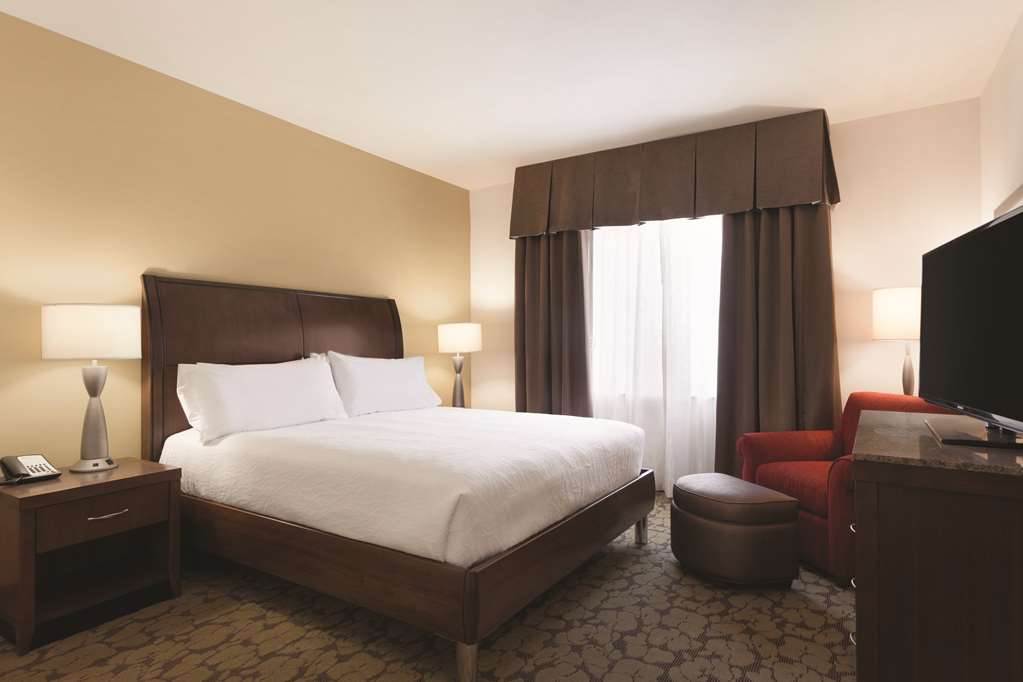 Фото Hilton Garden Inn Rochester Downtown