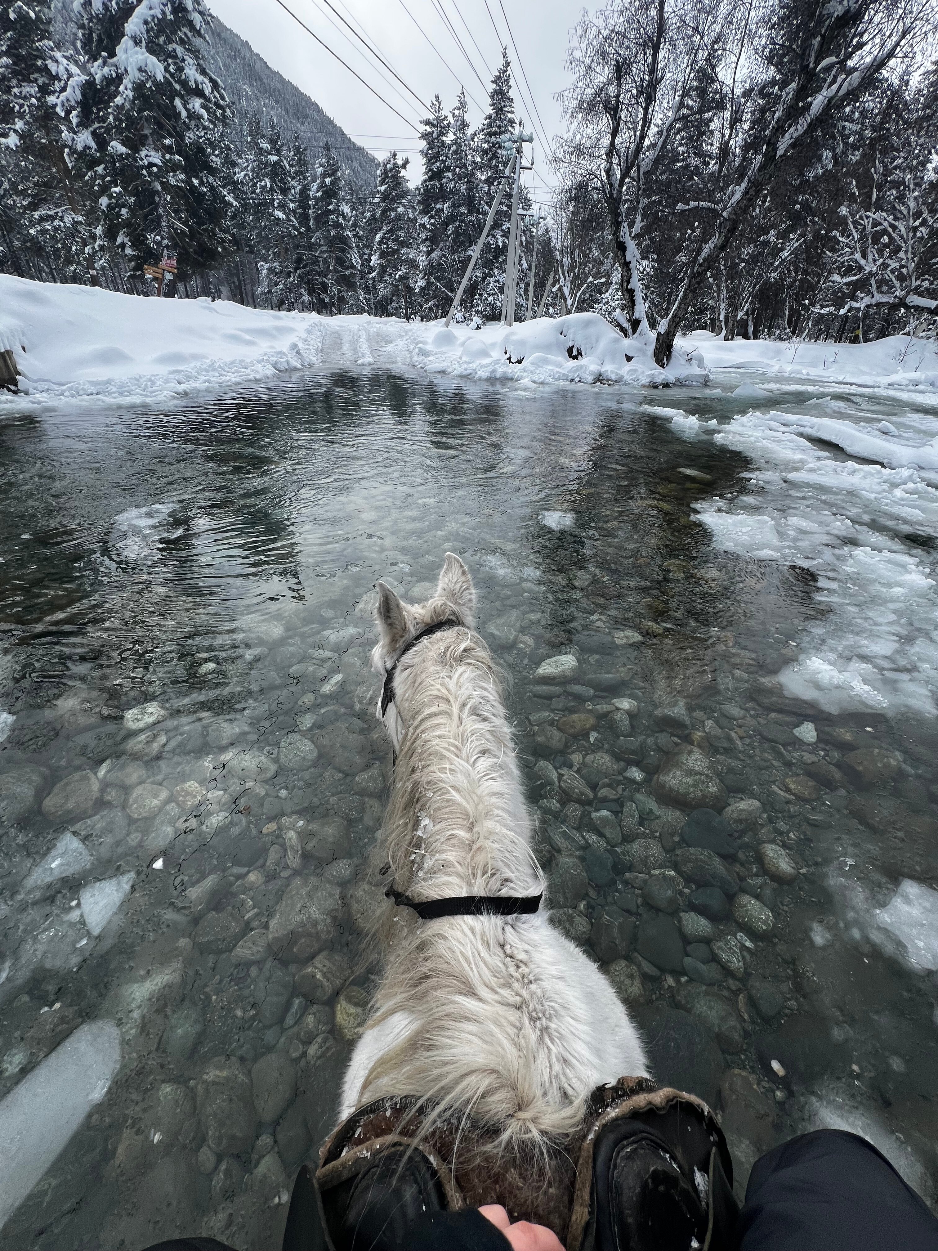 Фото Алан Коттедж