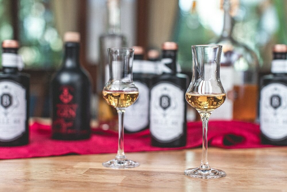 Фото Plaza Hotel Buchhorner Hof